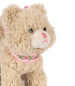 Activity Kitty - Image 6