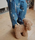 Lulu Puppy - Image 4