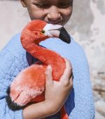 WWF Flamingo, 23 cm - Image 2