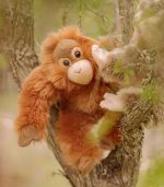 WWF Orangutan, 23 cm - Image 2