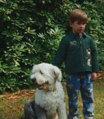 Juno Jacket, Pine Grove - Image 2