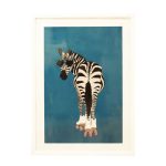 Zebra Loving, 50x70cm
