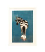 Zebra Loving, 50x70cm
