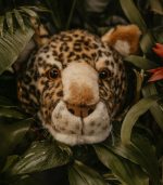 Charlie the Leopard: Wall Deco - Medium Head - Image 2