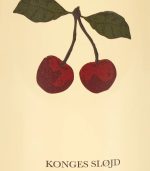 Garden Set, Cherry - Image 4