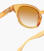 Izipizi Sun Adult #C - Golden Canyon - Brown Shading - Image 4