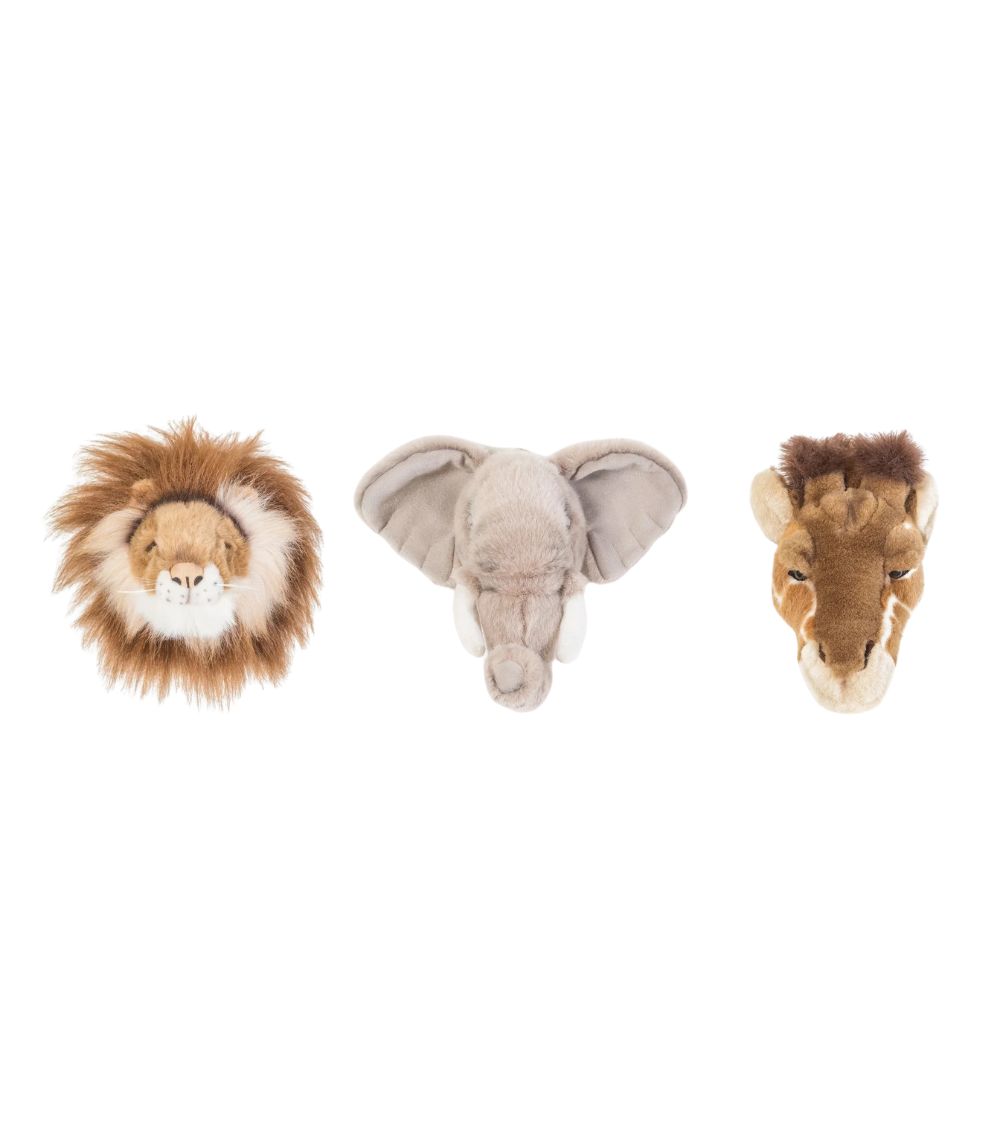 20 Decorative Mini Heads: Safari Box - Image 1