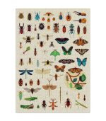 Educational Puzzle 500 Pieces - Insects - Image 4