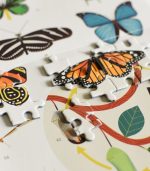 Educational Puzzle 500 Pieces - Insects - Image 3