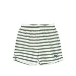Asnou Swim Shorts, Stripe Verti