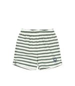 Asnou Swim Shorts, Stripe Verti