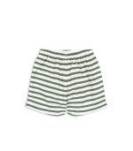 Asnou Swim Shorts, Stripe Verti - Image 5
