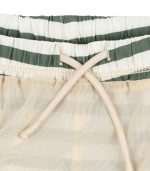 Asnou Swim Shorts, Stripe Verti - Image 6