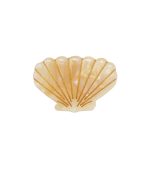 Shell Claw Clip