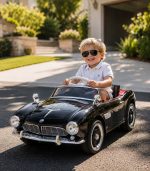 Bmw 507 Original 12V - Image 2