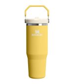 IceFlow Flip Straw 2.0 Tumbler 0.89L, Daffodil