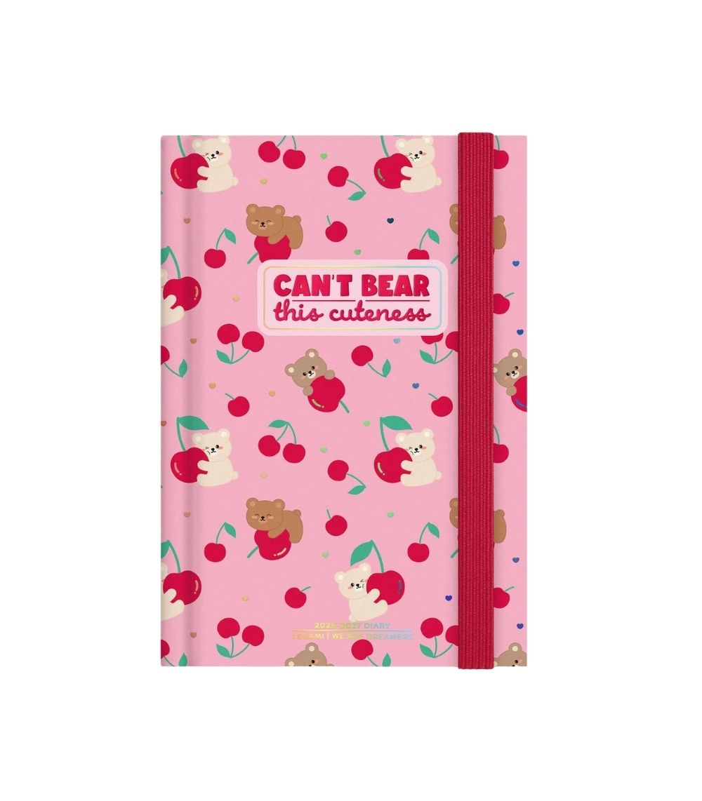 50 16-Month Daily Photo Diary for 2026/2027 - Teddy Bear Pink - Medium - Image 1