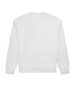 Greatness Lightweight Reglan Crewneck – White / Green - Image 4