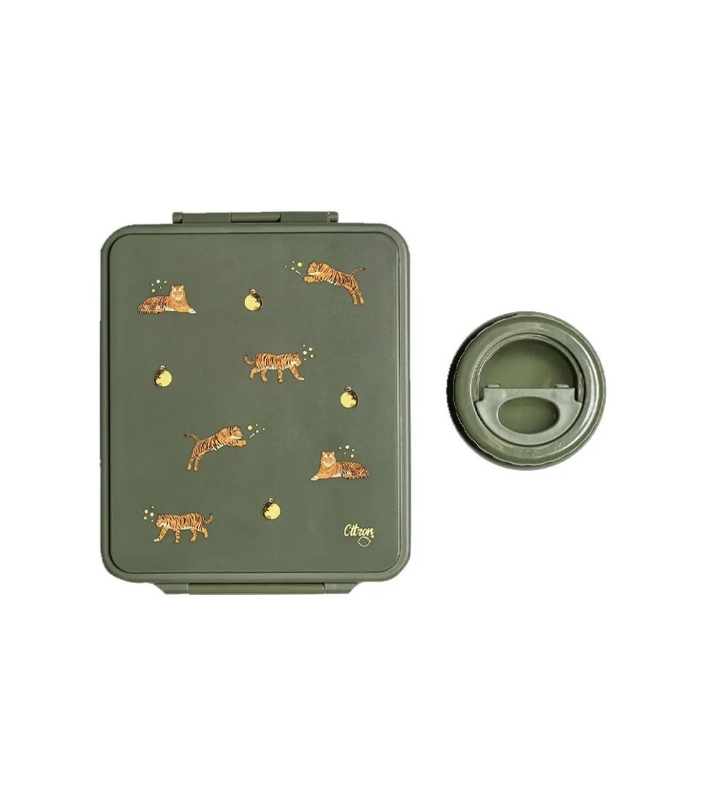 116 Grand Lunch Box - 4 Compartments - Tiger - Image 1
