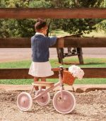 Banwood Trike, Dusty Pink - Image 4