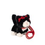 Pet Kitty, Black Beauty
