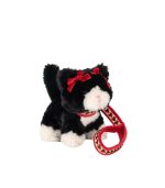 Pet Kitty, Black Beauty
