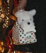 Terry Puppy, Coeur Colore - Image 2