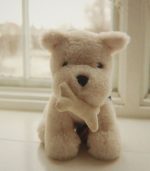 Terry Puppy, Coeur Colore - Image 7
