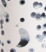 Original Bottle, Graphic Ink Drop 500ml - Image 4