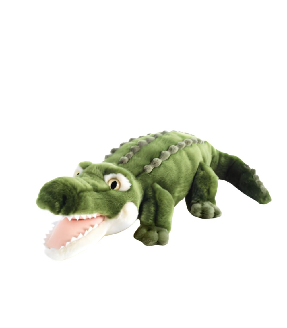 5 “The Agostino” Crocodile 60cm - Image 1