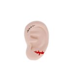 Scented Eraser - Ear We Go Again