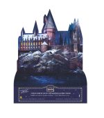 Harry Potter - 24 Days Bath, Body & Beauty Advent Calendar