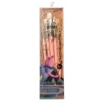 Himi Little Bird Painting Brushes 5pcs, Pink