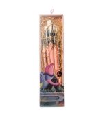 Himi Little Bird Painting Brushes 5pcs, Pink